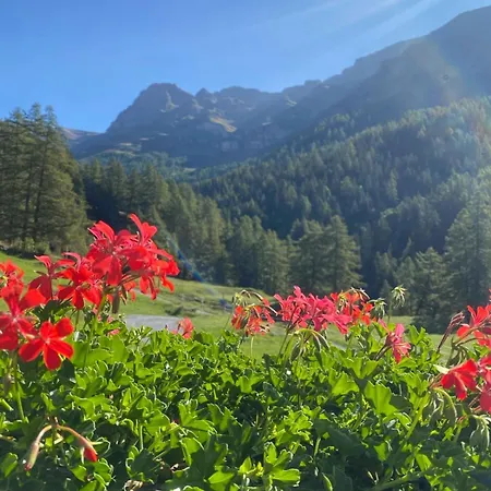 Magnifique Avec Terrasse Spacieuse Et Jardin Loeche-les-bains 洛伊克巴德