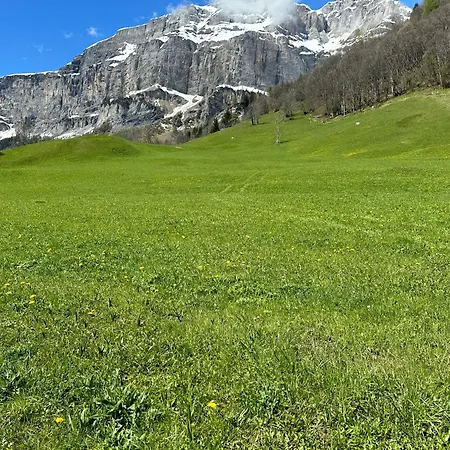 Magnifique Avec Terrasse Spacieuse Et Jardin Loeche-les-bains