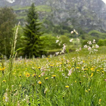 Magnifique Avec Terrasse Spacieuse Et Jardin Loeche-les-bains 公寓 洛伊克巴德