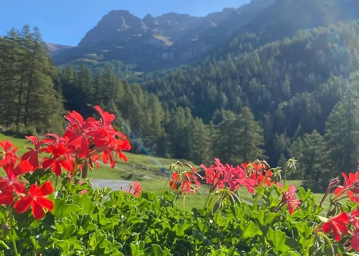 Magnifique Avec Terrasse Spacieuse Et Jardin Loèche-les-bains Loèche-les-Bains