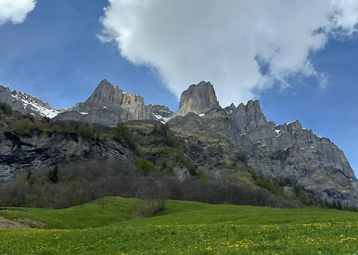 Magnifique Avec Terrasse Spacieuse Et Jardin Loèche-les-bains Appartement