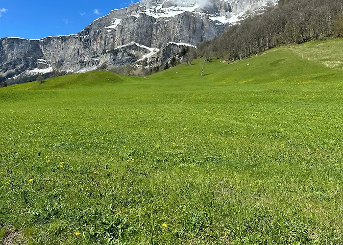 Magnifique Avec Terrasse Spacieuse Et Jardin Loèche-les-bains