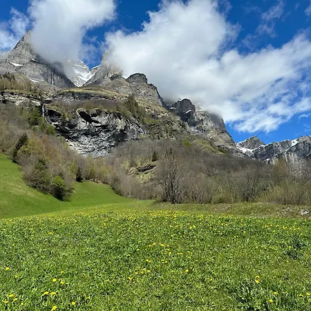 Magnifique Avec Terrasse Spacieuse Et Jardin Loeche-les-bains Leukerbad
