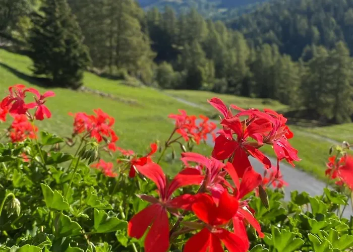 公寓 Magnifique Avec Terrasse Spacieuse Et Jardin Loeche-les-bains 洛伊克巴德