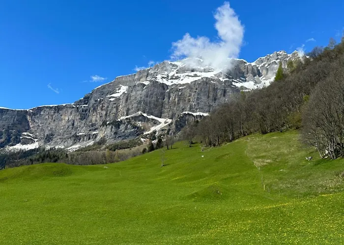 Magnifique Avec Terrasse Spacieuse Et Jardin Loeche-les-bains *