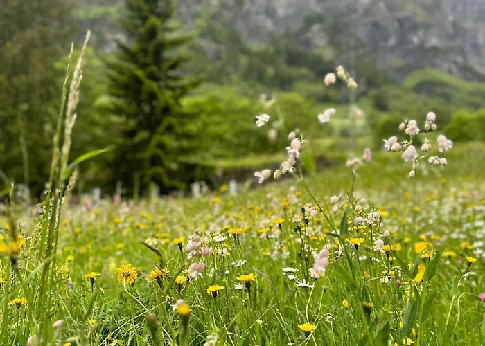 Magnifique Avec Terrasse Spacieuse Et Jardin Loeche-les-bains 公寓 洛伊克巴德